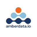 Amberdata logo