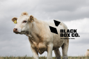 Black Box Co logo