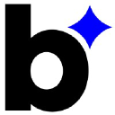 Bleach Cyber logo