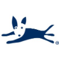 Bluedog logo