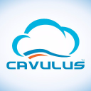 Cavulus logo