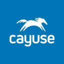 Cayuse logo