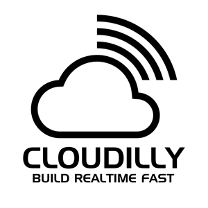 Cloudilly-Private Limited logo