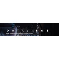 Data View Systems logo