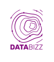 Databizz logo