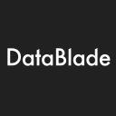 DataBlade logo