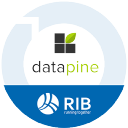 Datapine logo