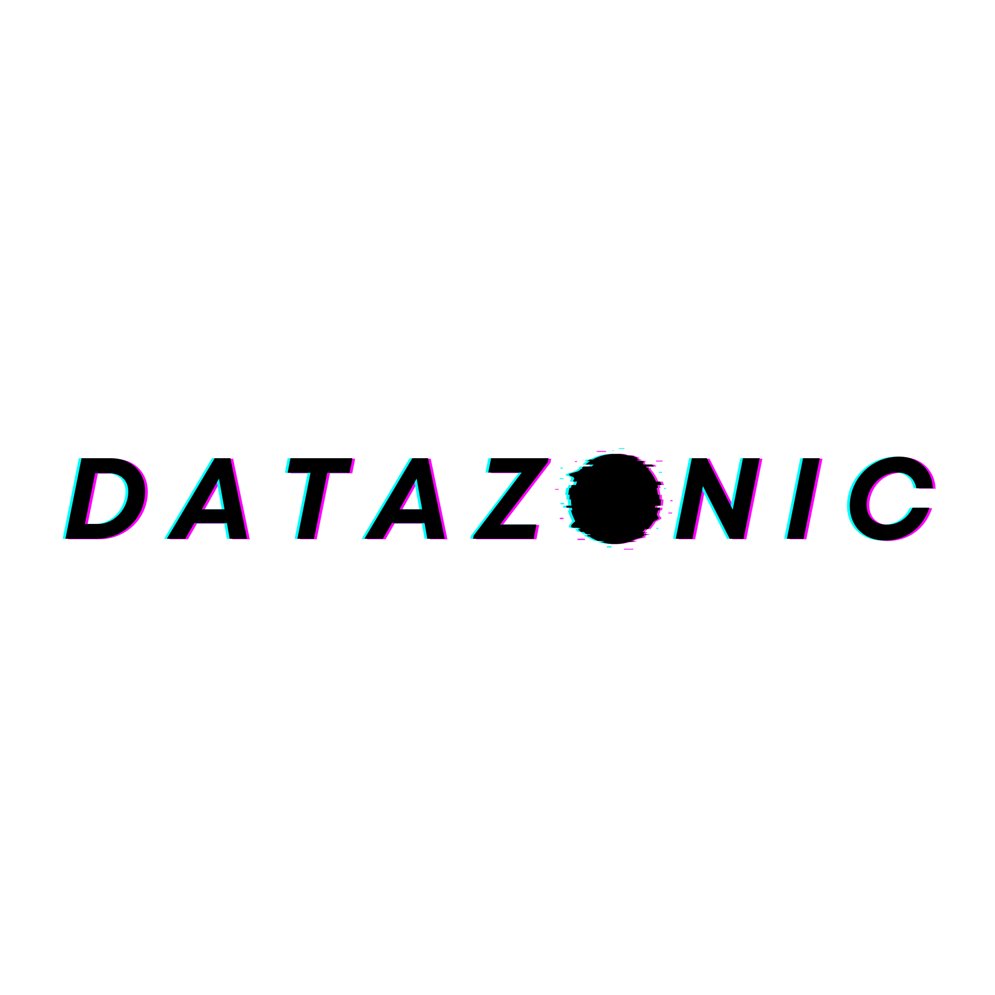 Datazonic logo