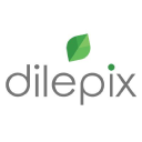 Dilepix logo