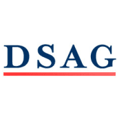 DS Advisory Group logo