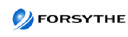 Forsythe Solutions Group, Inc. logo