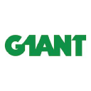 G1ANT logo