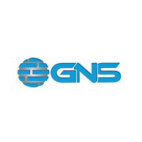 Government Network Solutions logo