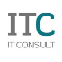 IT Consult logo