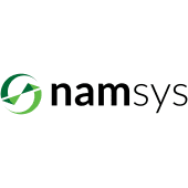 NamSys logo