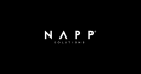 Napp Solutions logo
