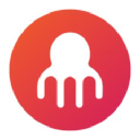 Octopai logo