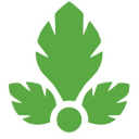 Parsely logo