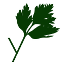 Parsley Software logo