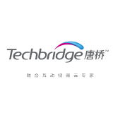 Techbridge logo